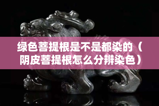 綠色菩提根是不是都染的（陰皮菩提根怎么分辨染色）