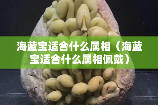 海藍寶適合什么屬相（海藍寶適合什么屬相佩戴）