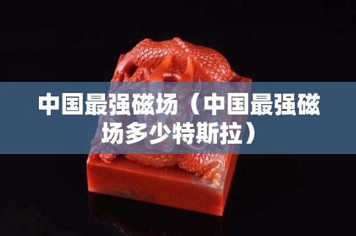 中國最強磁場（中國最強磁場多少特斯拉）