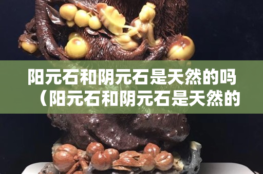 陽元石和陰元石是天然的嗎（陽元石和陰元石是天然的嗎圖片）