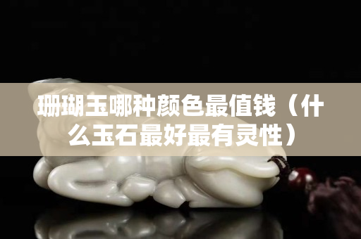 珊瑚玉哪種顏色最值錢（什么玉石最好最有靈性）