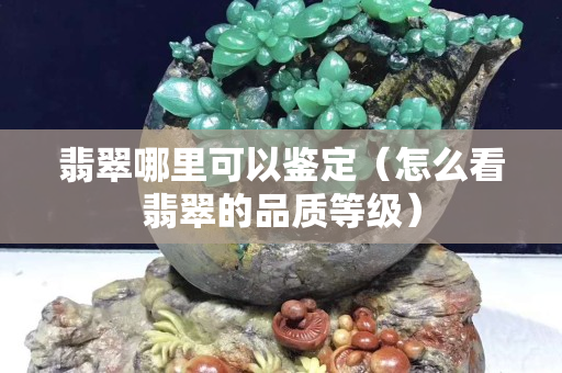翡翠哪里可以鑒定（怎么看翡翠的品質(zhì)等級(jí)）