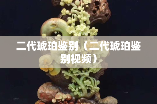 二代琥珀鑒別（二代琥珀鑒別視頻）
