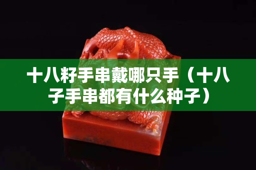 十八籽手串戴哪只手（十八子手串都有什么種子）