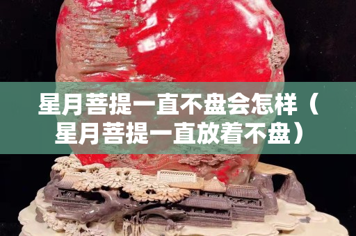 星月菩提一直不盤會(huì)怎樣（星月菩提一直放著不盤）