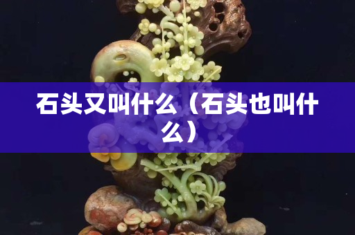石頭又叫什么（石頭也叫什么）