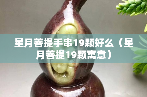 星月菩提手串19顆好么（星月菩提19顆寓意）