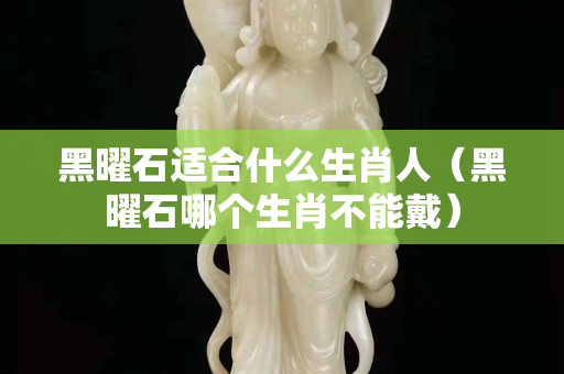黑曜石適合什么生肖人（黑曜石哪個生肖不能戴）