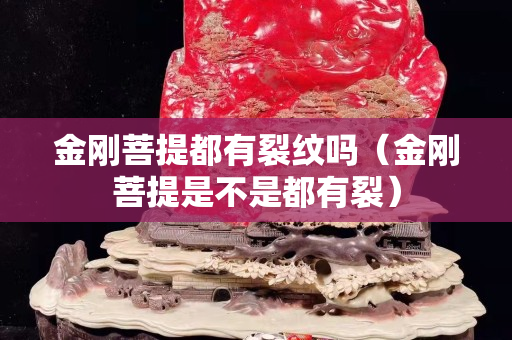 金剛菩提都有裂紋嗎（金剛菩提是不是都有裂）