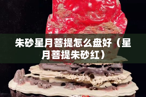 朱砂星月菩提怎么盤好（星月菩提朱砂紅）