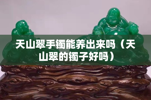 天山翠手鐲能養出來嗎（天山翠的鐲子好嗎）