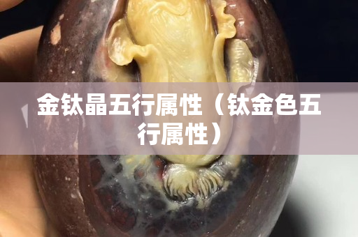 金鈦晶五行屬性（鈦金色五行屬性）