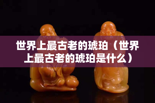 世界上最古老的琥珀（世界上最古老的琥珀是什么）