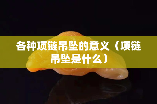 各種項鏈吊墜的意義（項鏈吊墜是什么）
