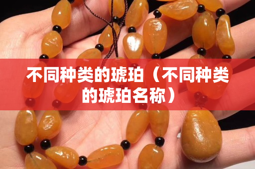 不同種類的琥珀（不同種類的琥珀名稱）