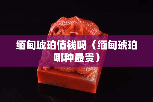 緬甸琥珀值錢嗎（緬甸琥珀哪種最貴）