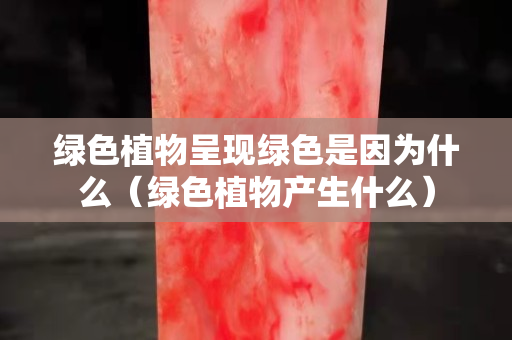 綠色植物呈現綠色是因為什么（綠色植物產生什么）