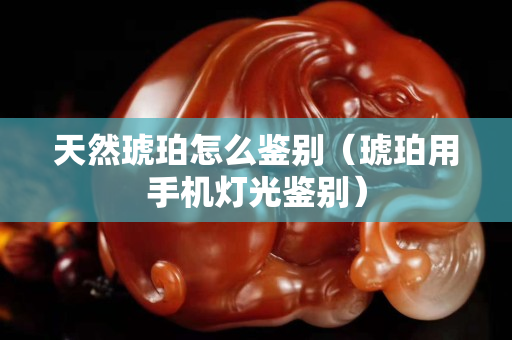 天然琥珀怎么鑒別（琥珀用手機燈光鑒別）