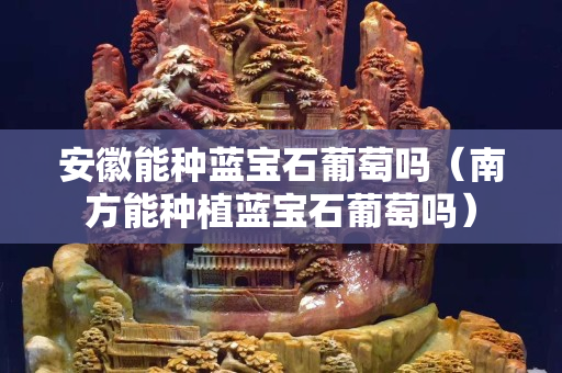 安徽能種藍寶石葡萄嗎（南方能種植藍寶石葡萄嗎）