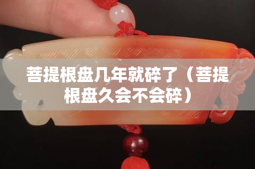 菩提根盤幾年就碎了（菩提根盤久會不會碎）