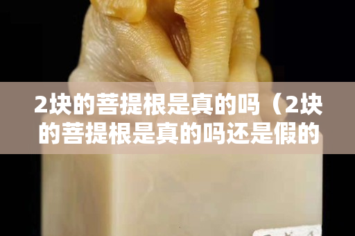 2塊的菩提根是真的嗎（2塊的菩提根是真的嗎還是假的）