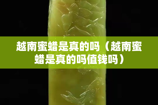 越南蜜蠟是真的嗎（越南蜜蠟是真的嗎值錢嗎）