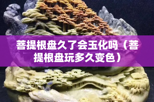 菩提根盤久了會玉化嗎（菩提根盤玩多久變色）
