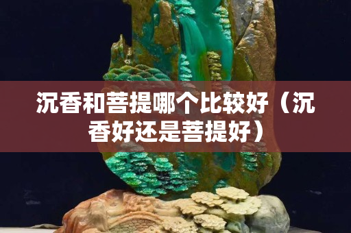沉香和菩提哪個(gè)比較好（沉香好還是菩提好）