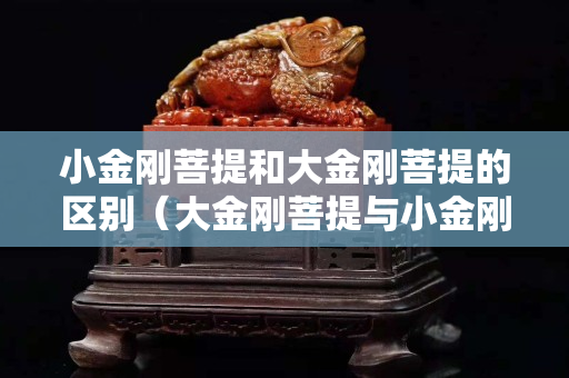 小金剛菩提和大金剛菩提的區別（大金剛菩提與小金剛菩提手串的區別）