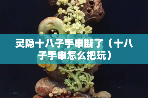 靈隱十八子手串斷了（十八子手串怎么把玩）