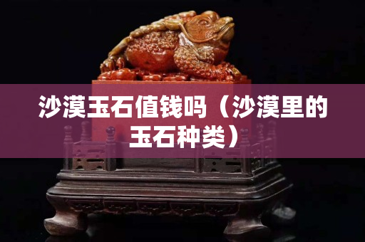 沙漠玉石值錢嗎（沙漠里的玉石種類）