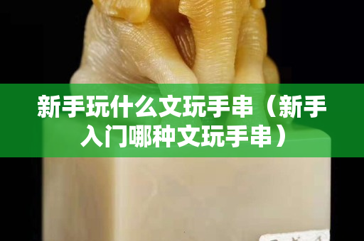 新手玩什么文玩手串（新手入門哪種文玩手串）