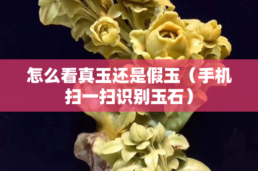 怎么看真玉還是假玉（手機掃一掃識別玉石）