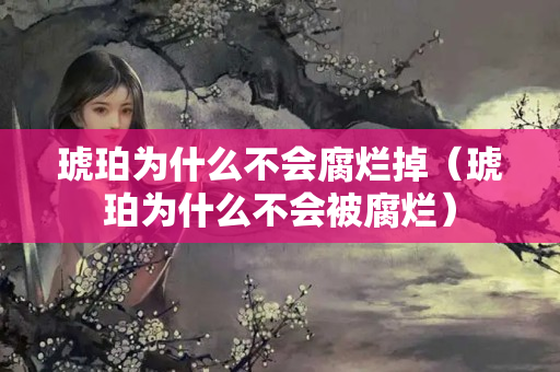 琥珀為什么不會(huì)腐爛掉（琥珀為什么不會(huì)被腐爛）