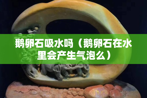 鵝卵石吸水嗎（鵝卵石在水里會產生氣泡么）