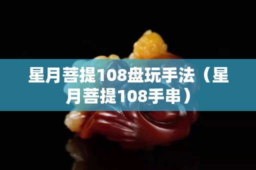 星月菩提108盤玩手法（星月菩提108手串）