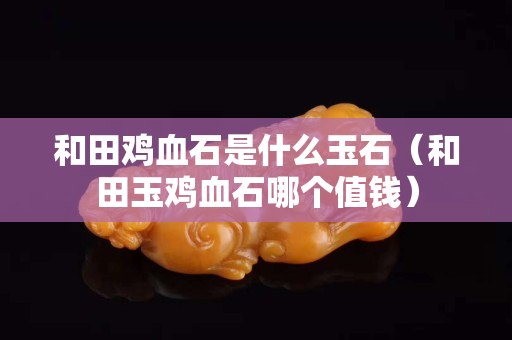 和田雞血石是什么玉石（和田玉雞血石哪個值錢）