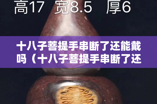十八子菩提手串?dāng)嗔诉€能戴嗎（十八子菩提手串?dāng)嗔诉€能戴嗎圖片）
