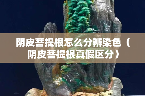陰皮菩提根怎么分辨染色（陰皮菩提根真假區(qū)分）