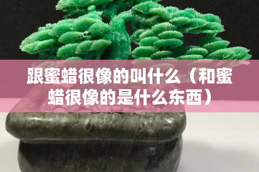 跟蜜蠟很像的叫什么（和蜜蠟很像的是什么東西）
