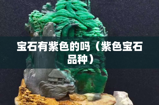 寶石有紫色的嗎（紫色寶石品種）