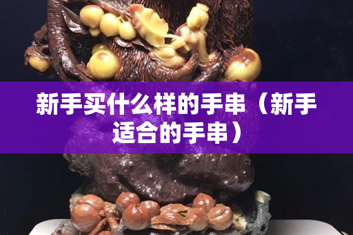 新手買什么樣的手串（新手適合的手串）