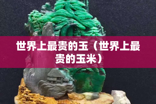 世界上最貴的玉（世界上最貴的玉米）