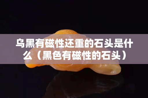 烏黑有磁性還重的石頭是什么（黑色有磁性的石頭）