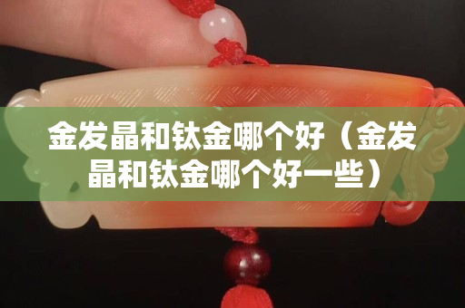 金發晶和鈦金哪個好（金發晶和鈦金哪個好一些）