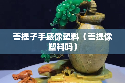 菩提子手感像塑料（菩提像塑料嗎）