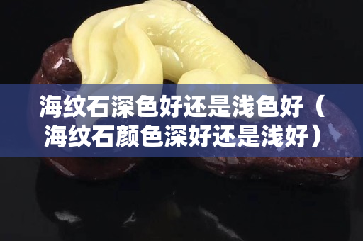 海紋石深色好還是淺色好（海紋石顏色深好還是淺好）