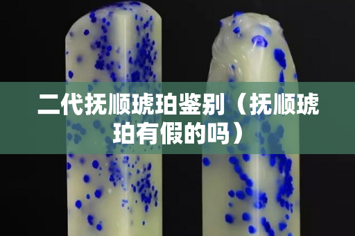 二代撫順琥珀鑒別（撫順琥珀有假的嗎）