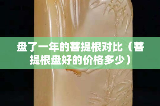 盤了一年的菩提根對比（菩提根盤好的價格多少）