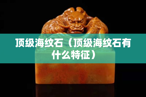 頂級海紋石（頂級海紋石有什么特征）